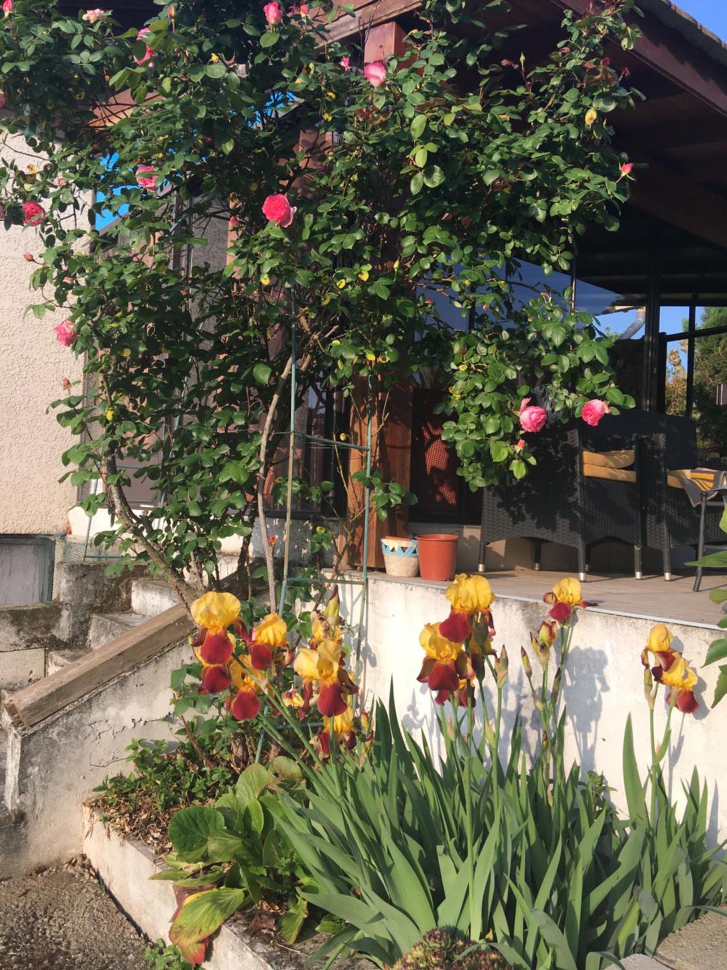 Appartamento La Colombe Vienne  Esterno foto