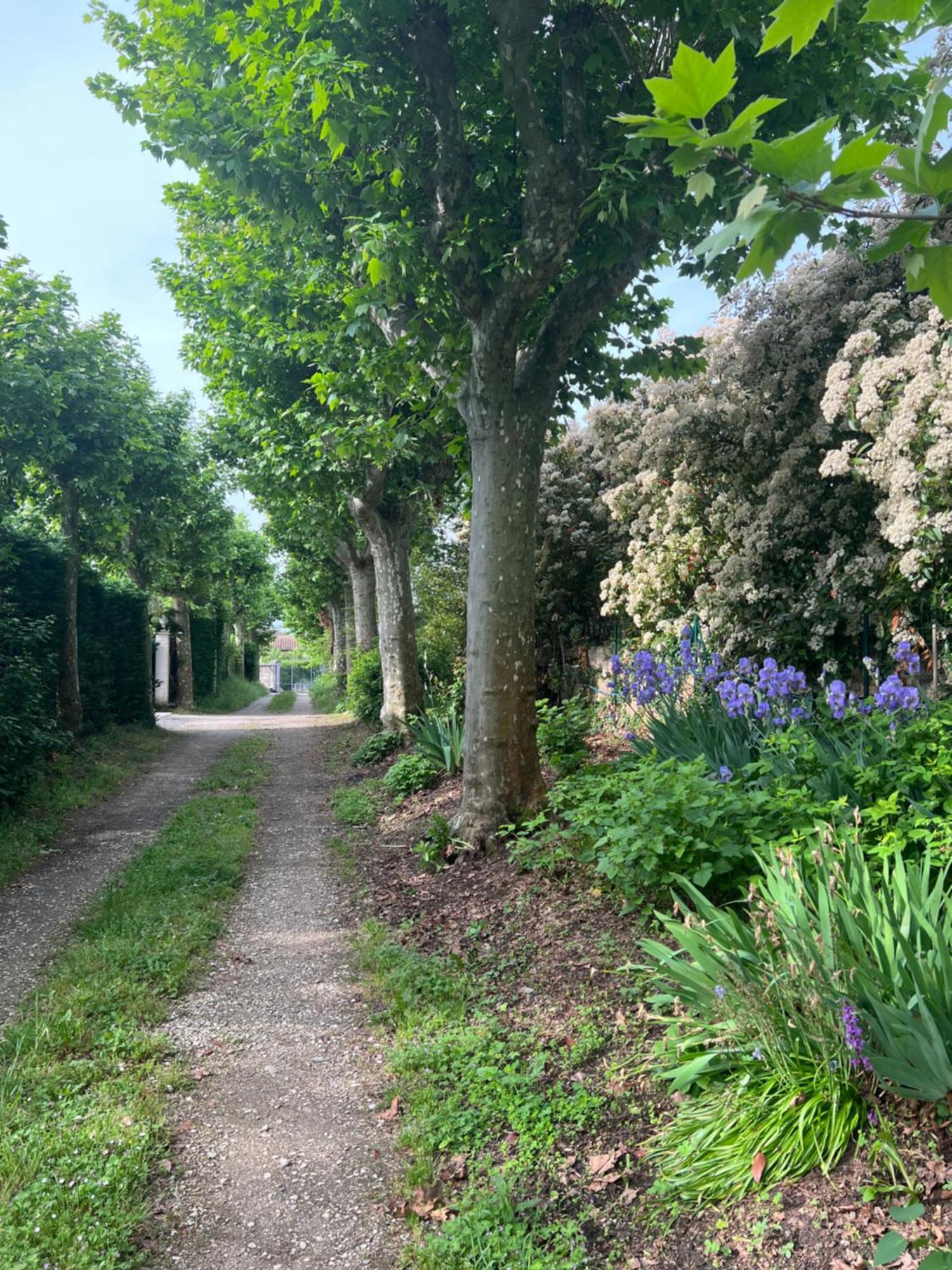 Appartamento La Colombe Vienne  Esterno foto
